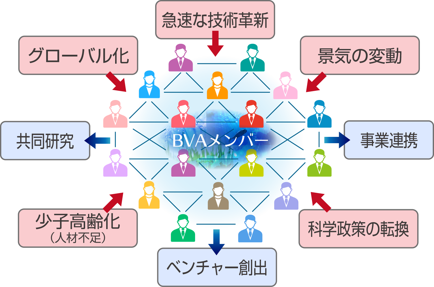 BVAが目指すエコシステム