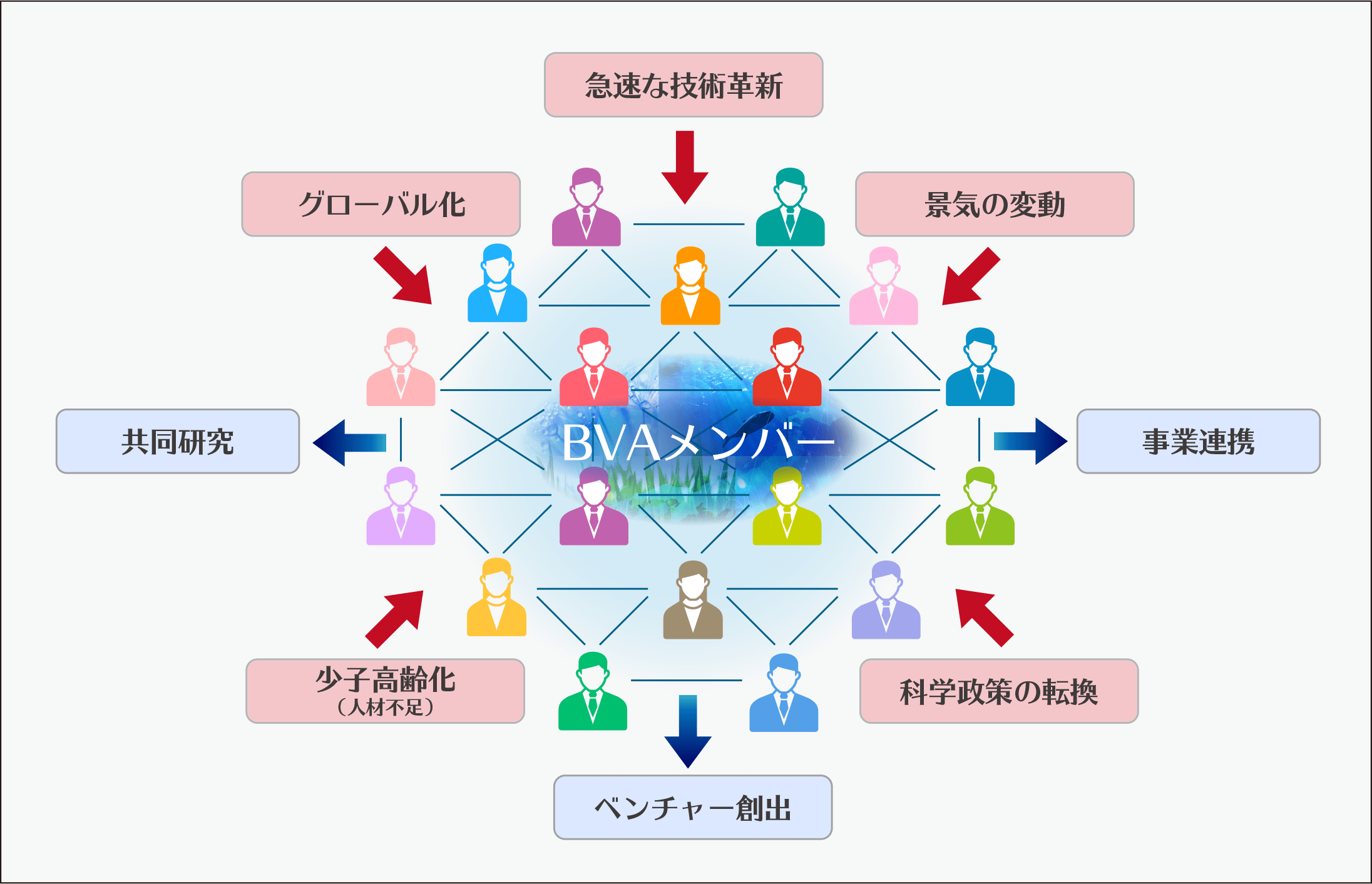 BVAが目指すエコシステム